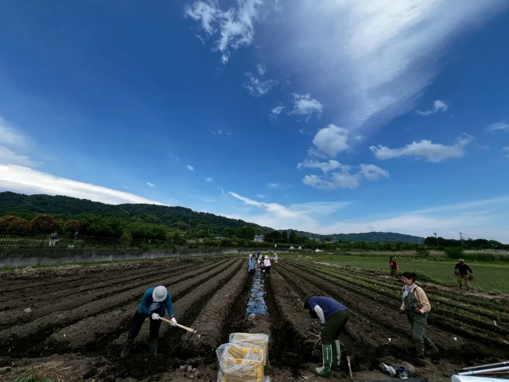 土に触れ、自然と共に生きる。小田原自然栽培農学校、2026年に開校!