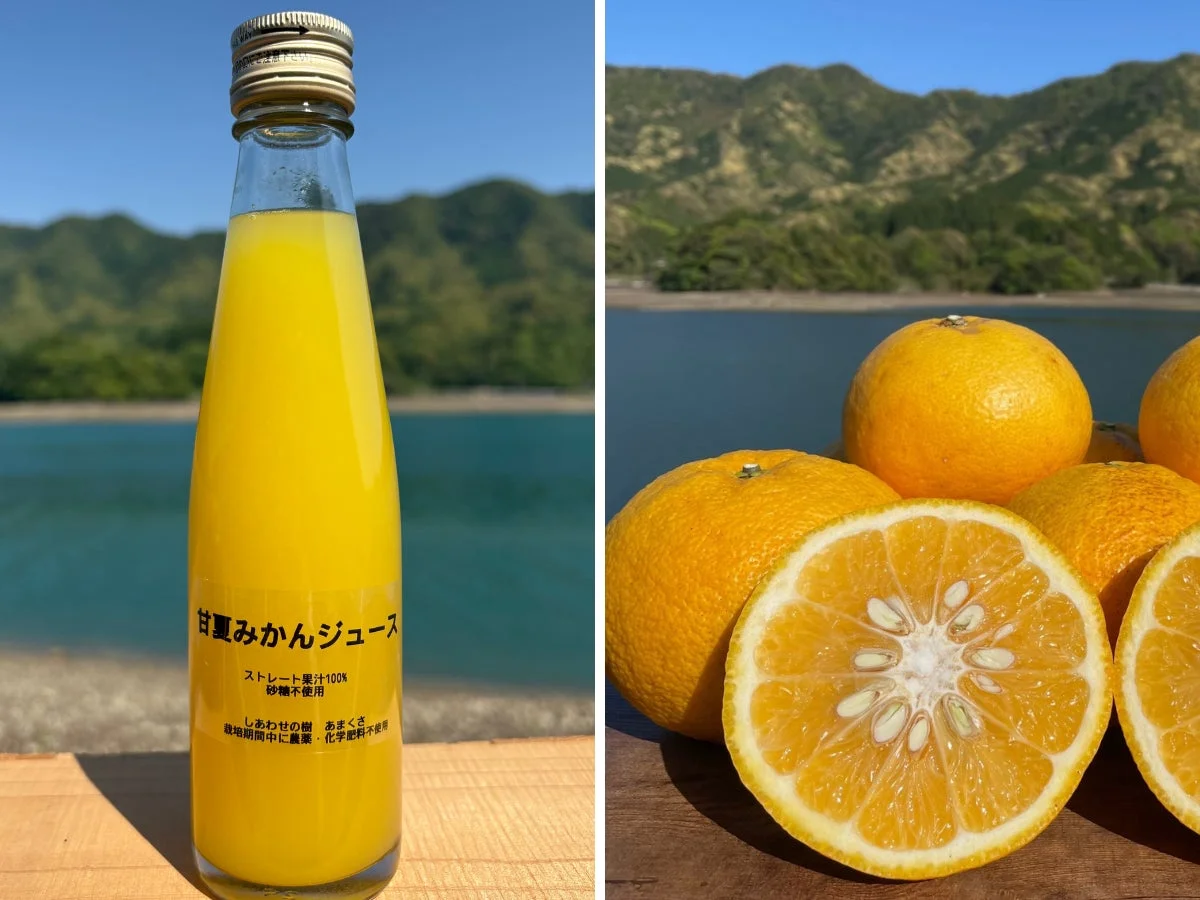 甘夏みかんジュース