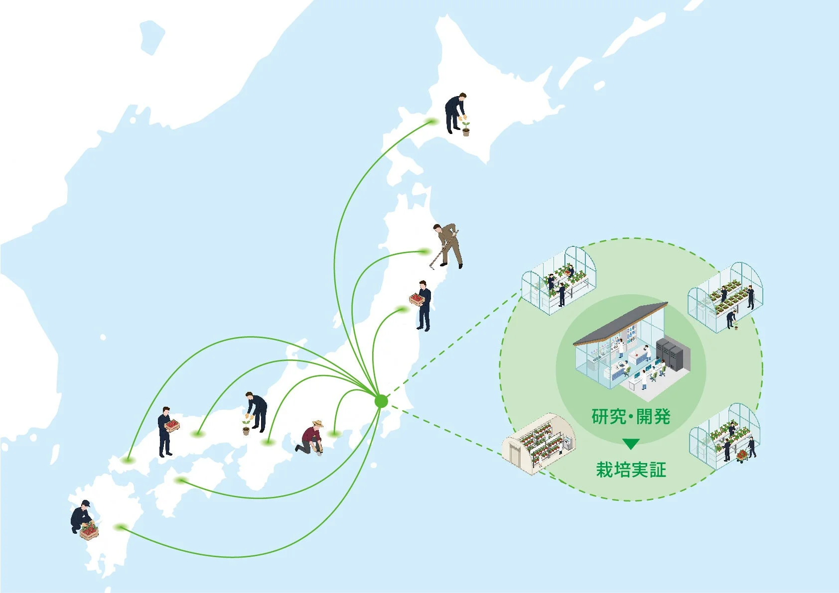 日本地図上で研究開発と栽培実証の連携を示すイラスト