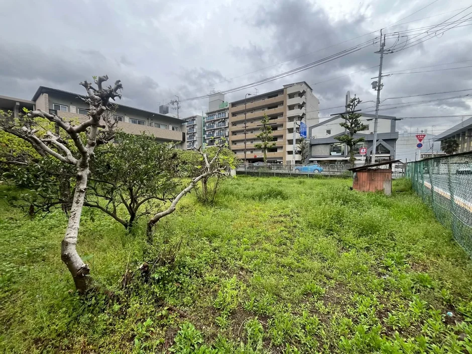 雑草が生い茂る空き地の風景