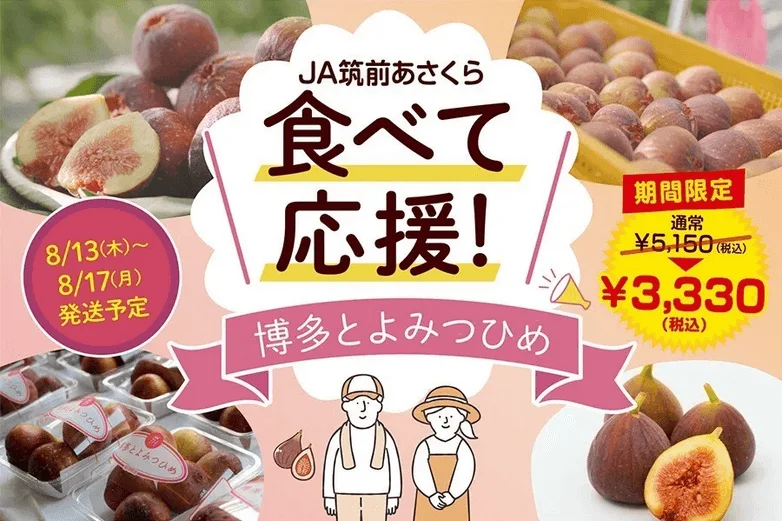 いちじく『博多とよみつひめ』