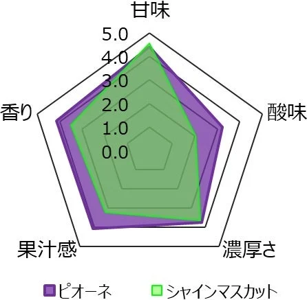 レーダーチャート