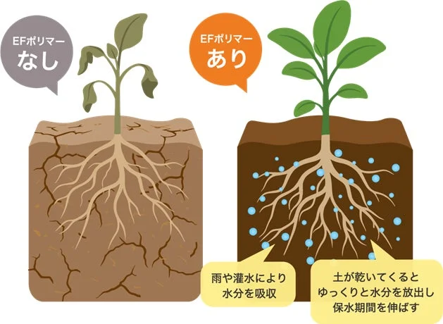 EFポリマーの保水効果を説明する図