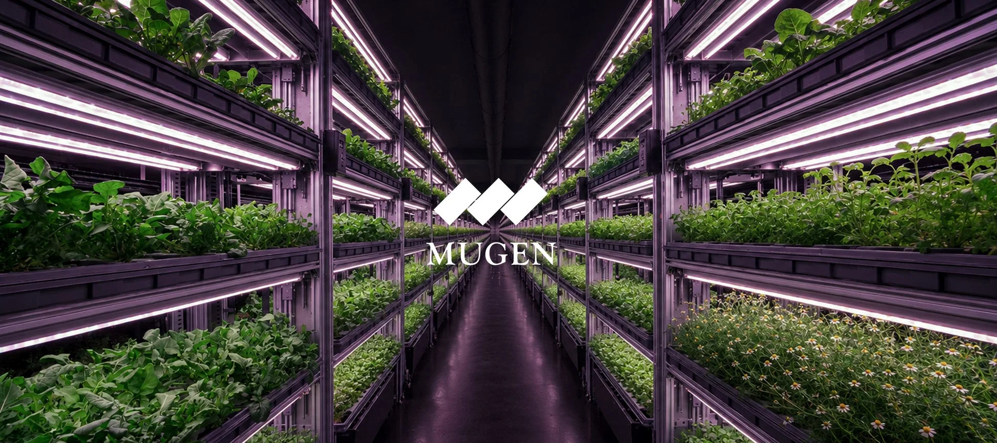 MUGEN FARMの全景