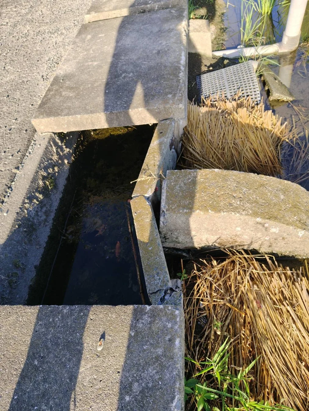 農業用水路
