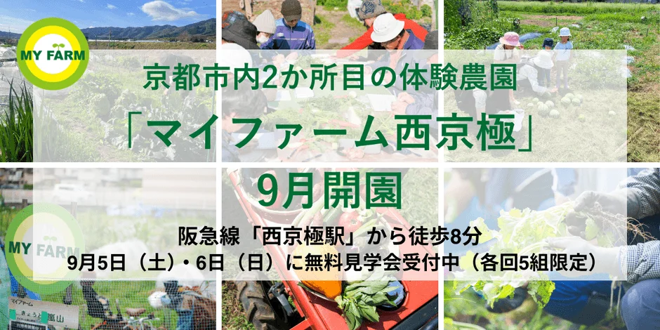 子供たちが野菜を収穫する楽しげな農業体験の様子