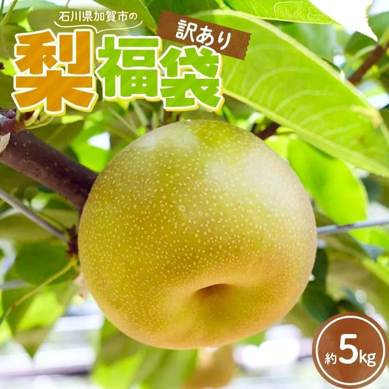 石川県加賀市の「梨 福袋」が楽天ふるさと納税で全国トップに!地域農業の新たな販路とブランド戦略を学ぶ
