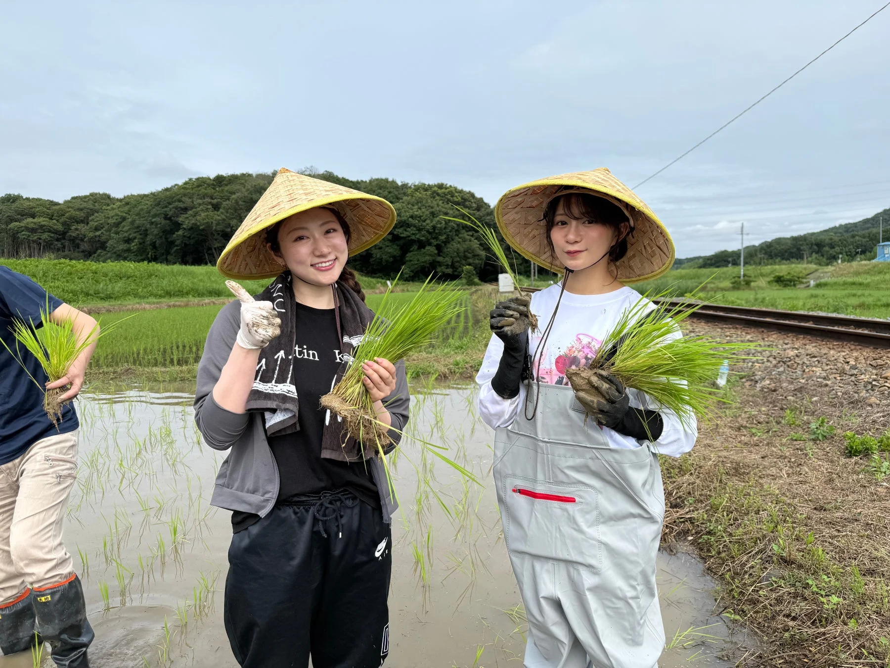 田植え中の女性たち