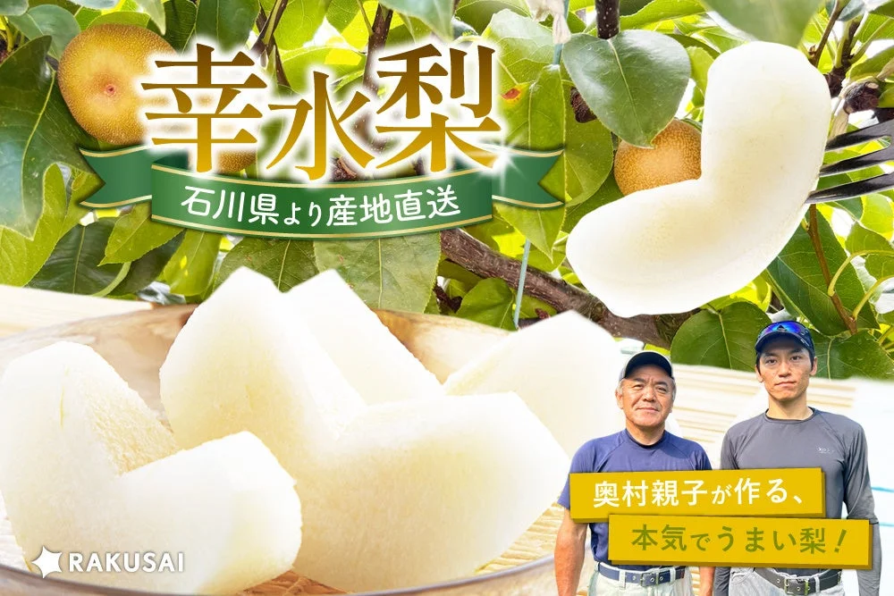 生産者必見!石川・奥村親子の『幸水梨』が示す、こだわりの栽培と産直販路開拓の可能性