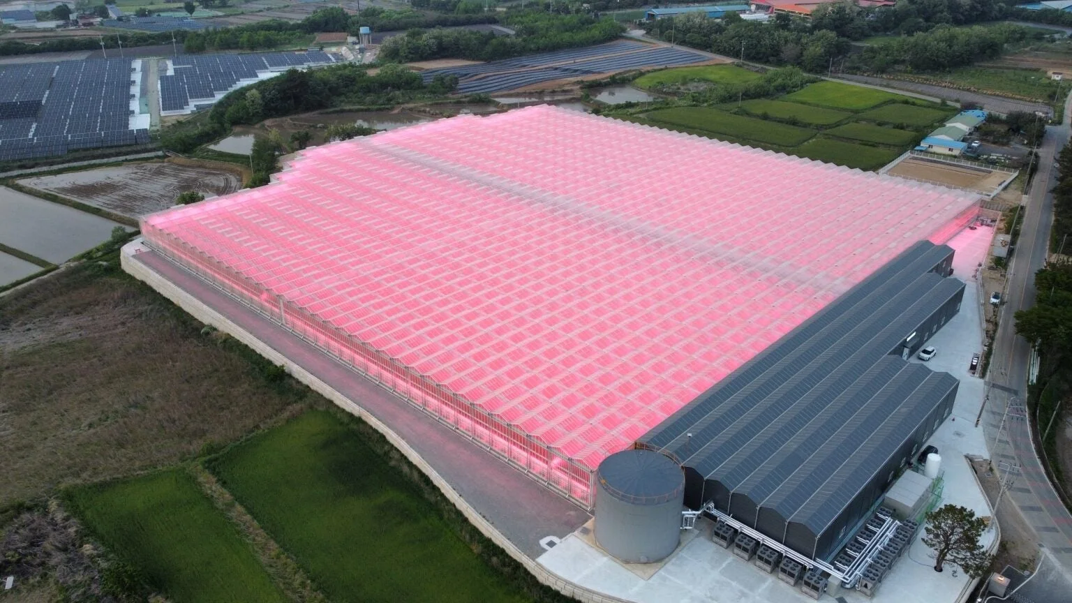 大規模な温室がピンク色の光を放ち、周囲にはソーラーパネルや農地が広がる空撮画像です。