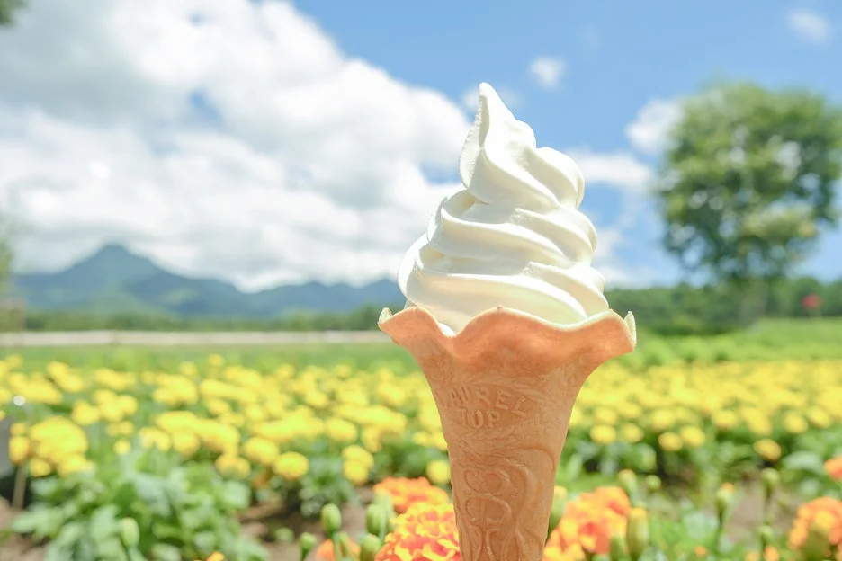 ソフトクリームと花畑