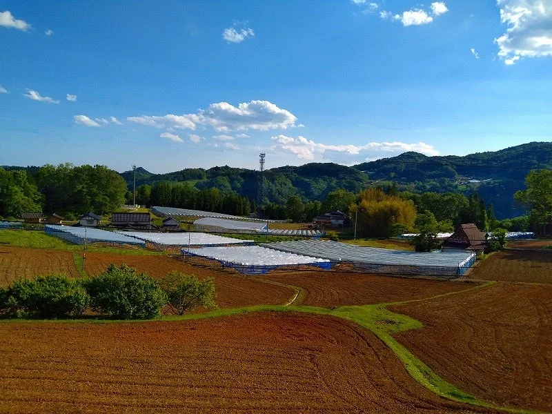 田園風景