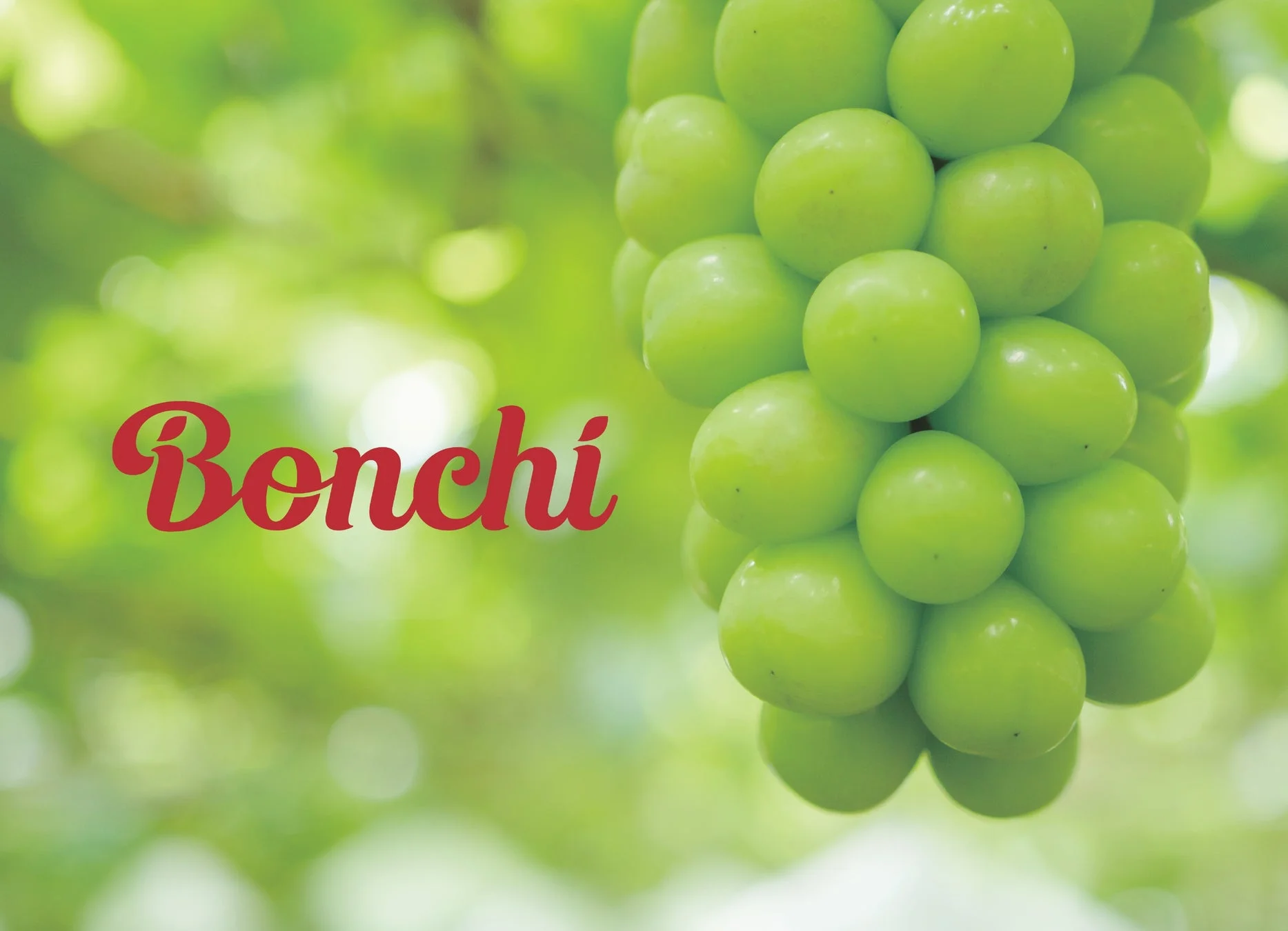 ぶどうのBonchiロゴ