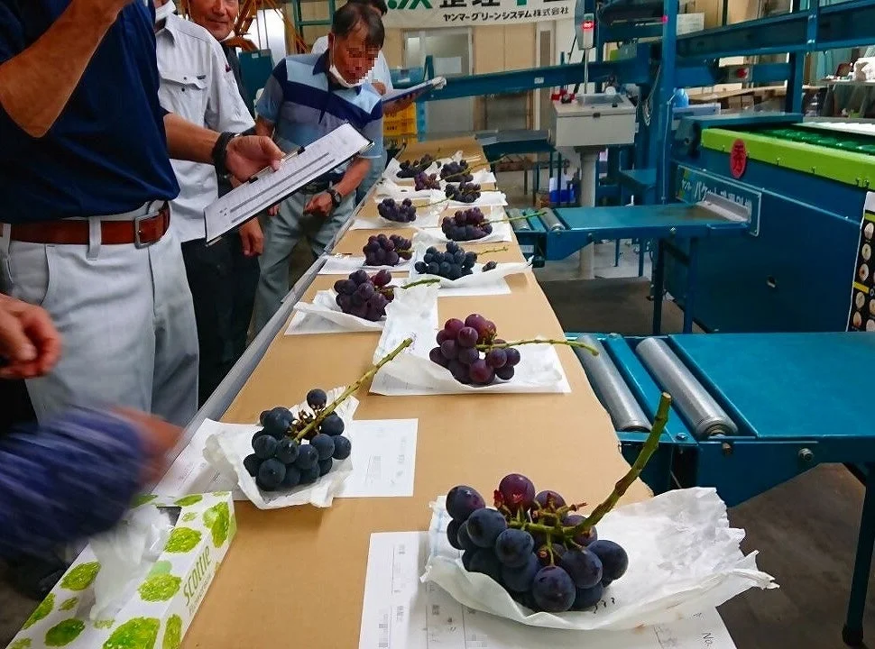品質検査