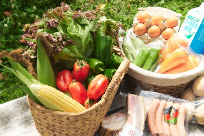新鮮な野菜や食材