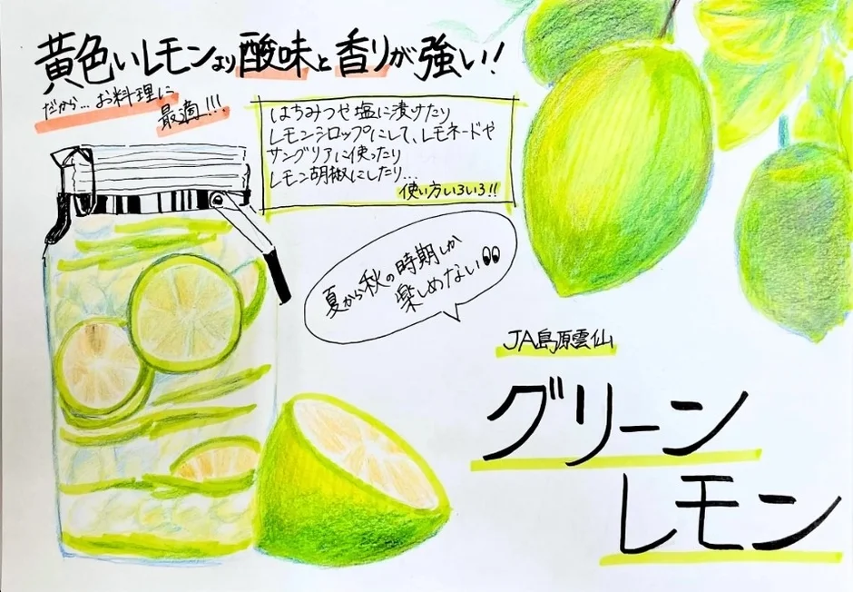 グリーンレモンの利用法イラスト