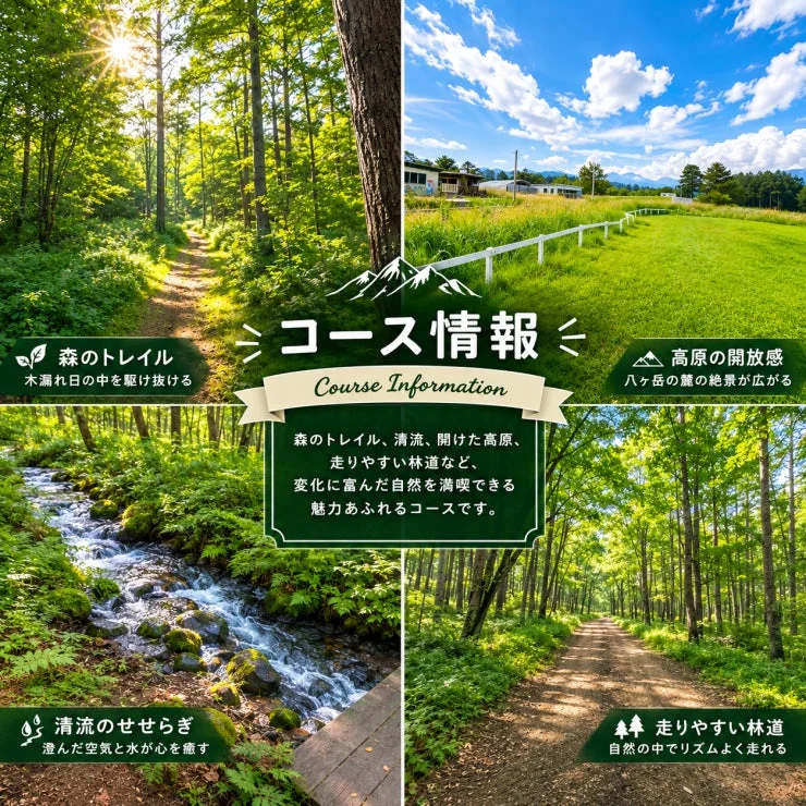 コース情報