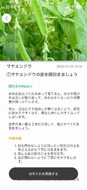growアプリの間引き説明画面