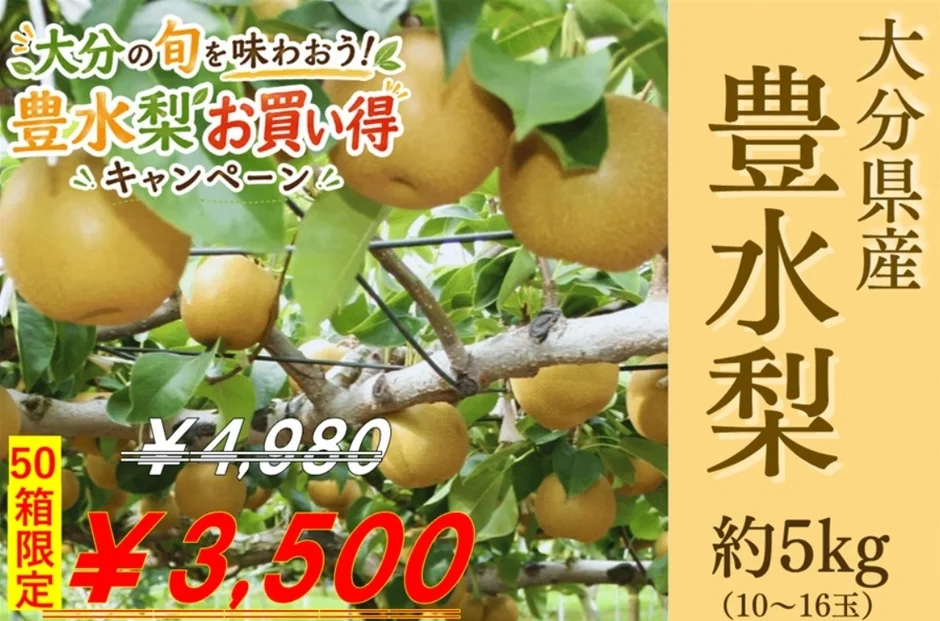 大分県産 豊水梨 約5kg