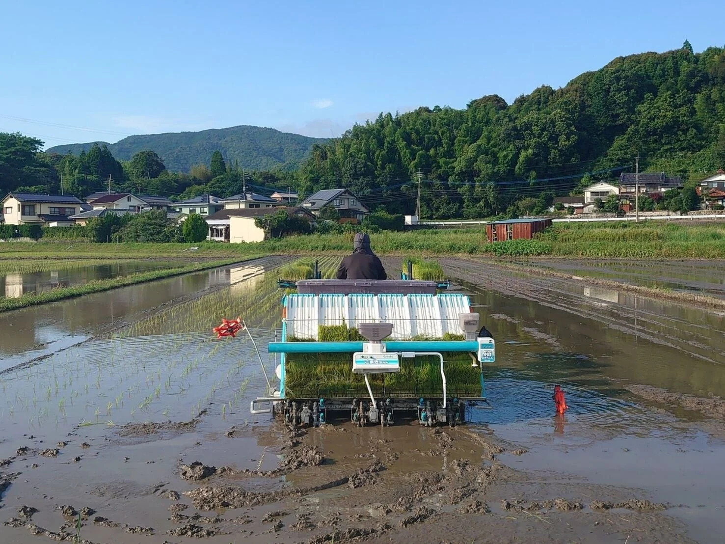 田植えの風景