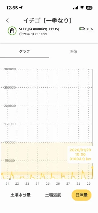 growアプリのイチゴ栽培データ画面(日照量グラフ)