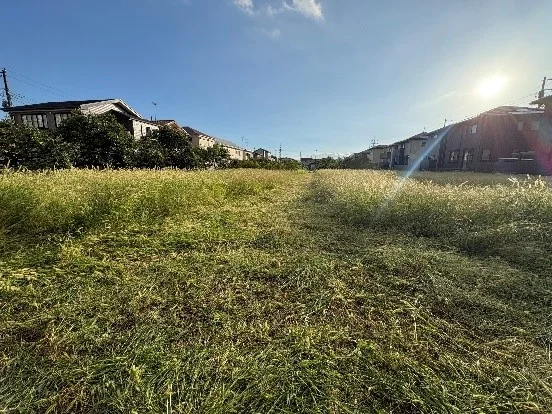 広々とした草地と住宅地