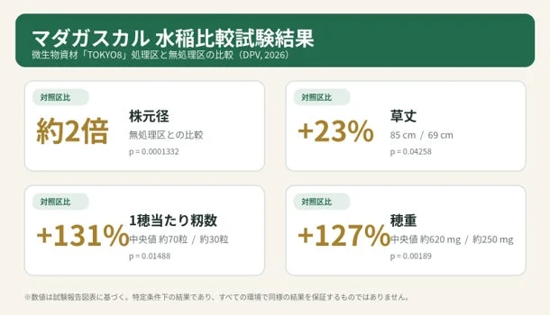 マダガスカル水稲比較試験結果