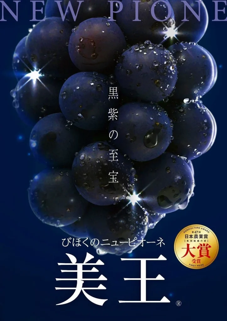 「一粒の極上体験」岡山県びほくエリアのピオーネ「美王®」が示す、高品質生産と新規就農者支援の道