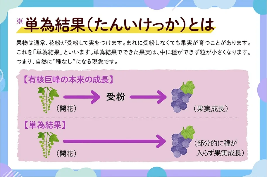 単為結果の説明