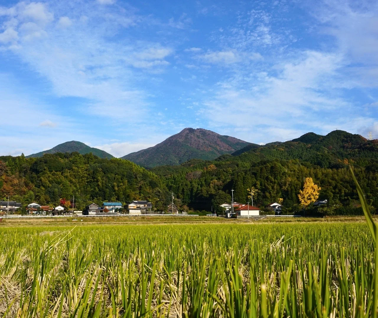 田園風景