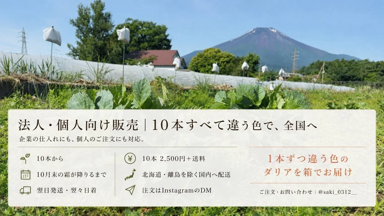 法人・個人向け販売