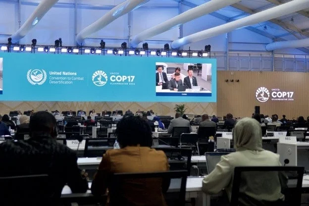 UNCCD COP17会議室の様子