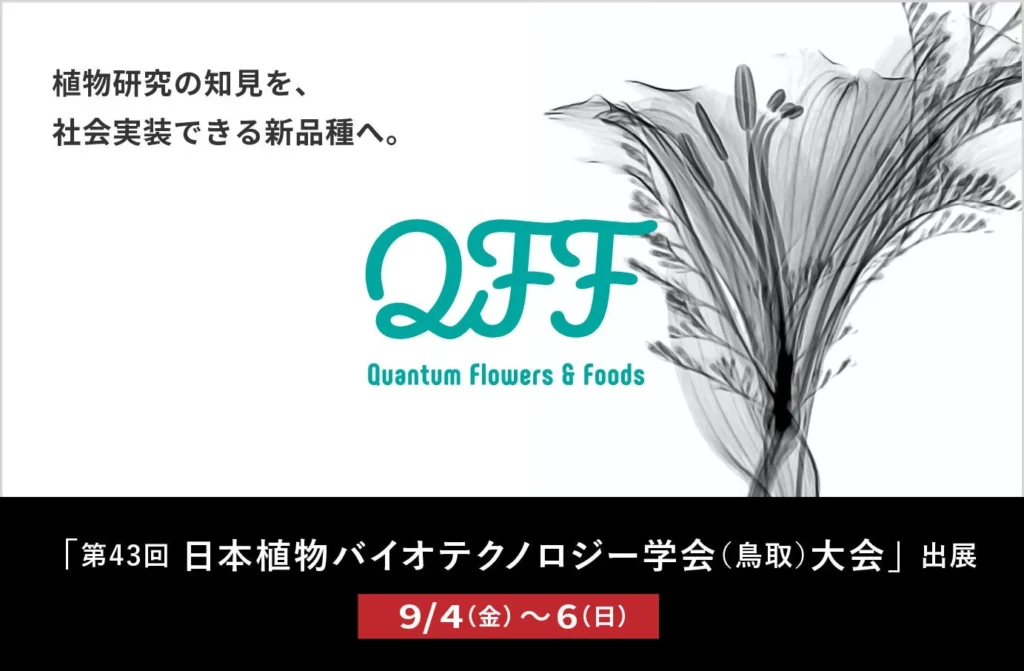 気候変動や病害に強い新品種をスピード開発!QFFが「中性子線スピーディ育種®」で生産者の課題解決を支援