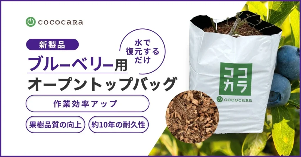 ブルーベリー栽培が変わる!ココカラの培地一体型オープントップバッグで作業負担を減らし、収量アップを目指しませんか?