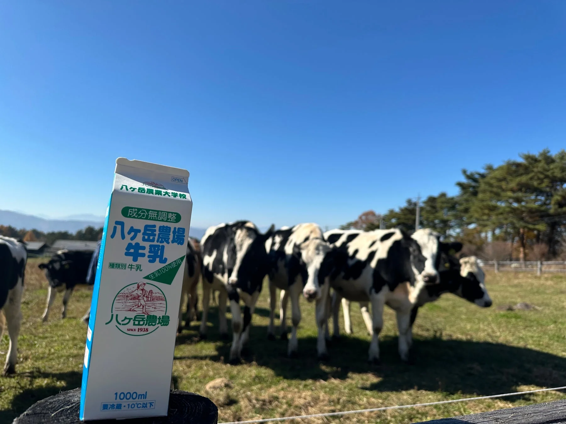 牛乳パックと牛