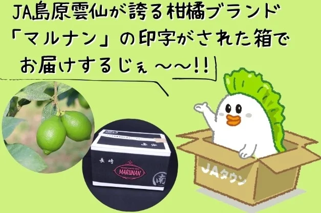 マルナンブランドの箱とキャラクター