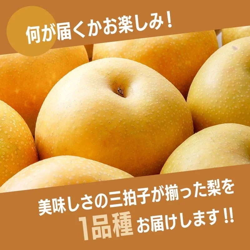 何が届くかお楽しみ!美味しさの三拍子が揃った梨を1品種お届けします!!