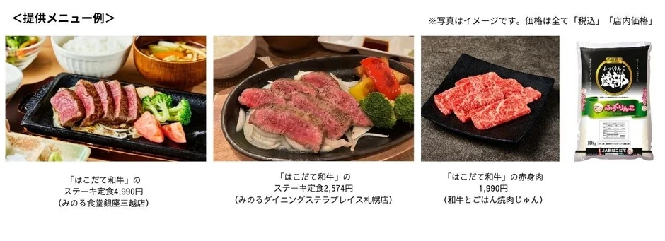 提供メニュー例