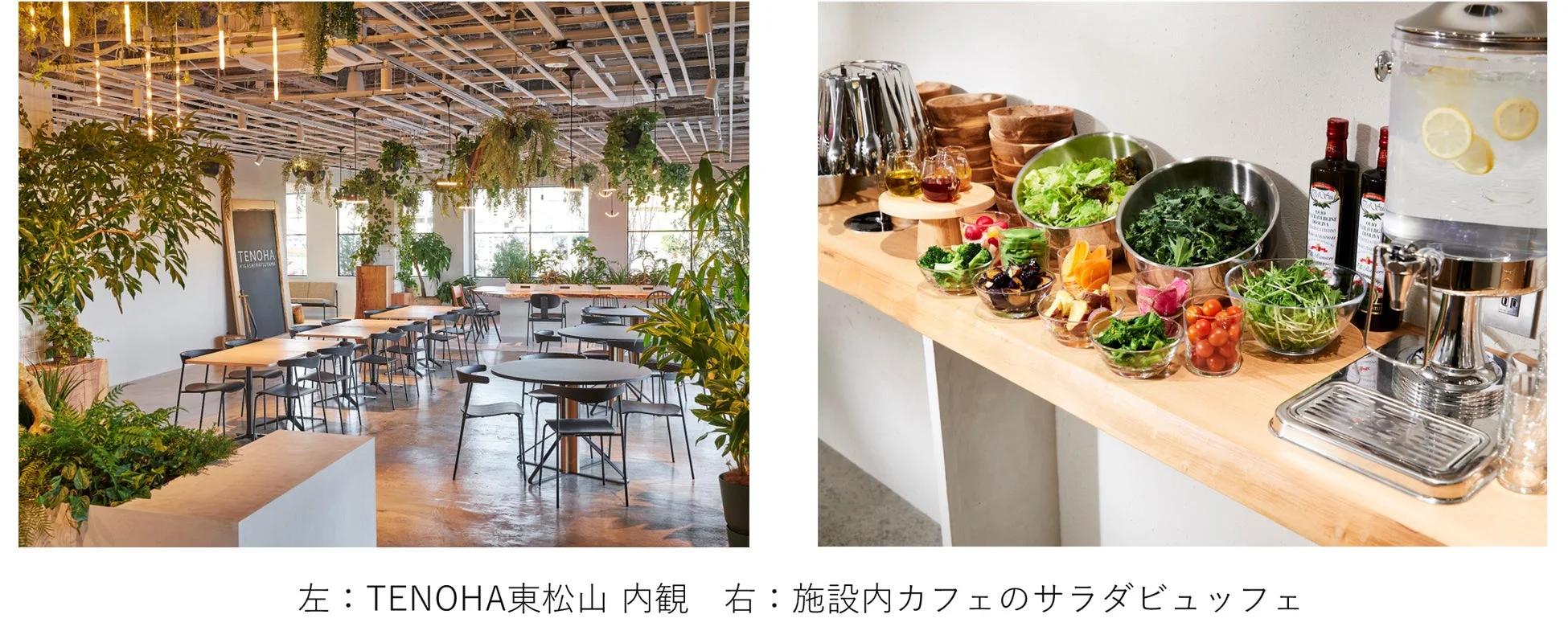TENOHA東松山の内観とカフェのサラダビュッフェ
