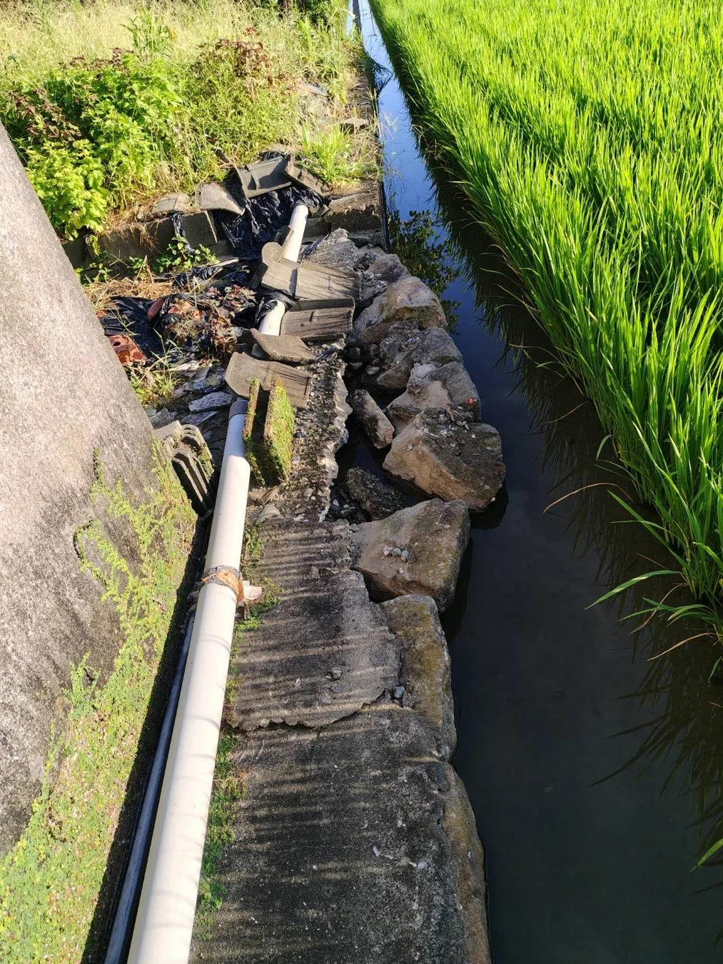 破損した田んぼの水路