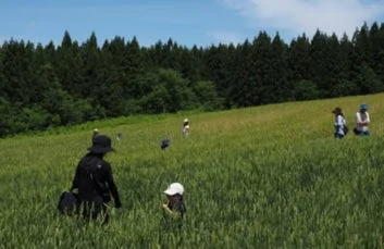 畑で作業する人々