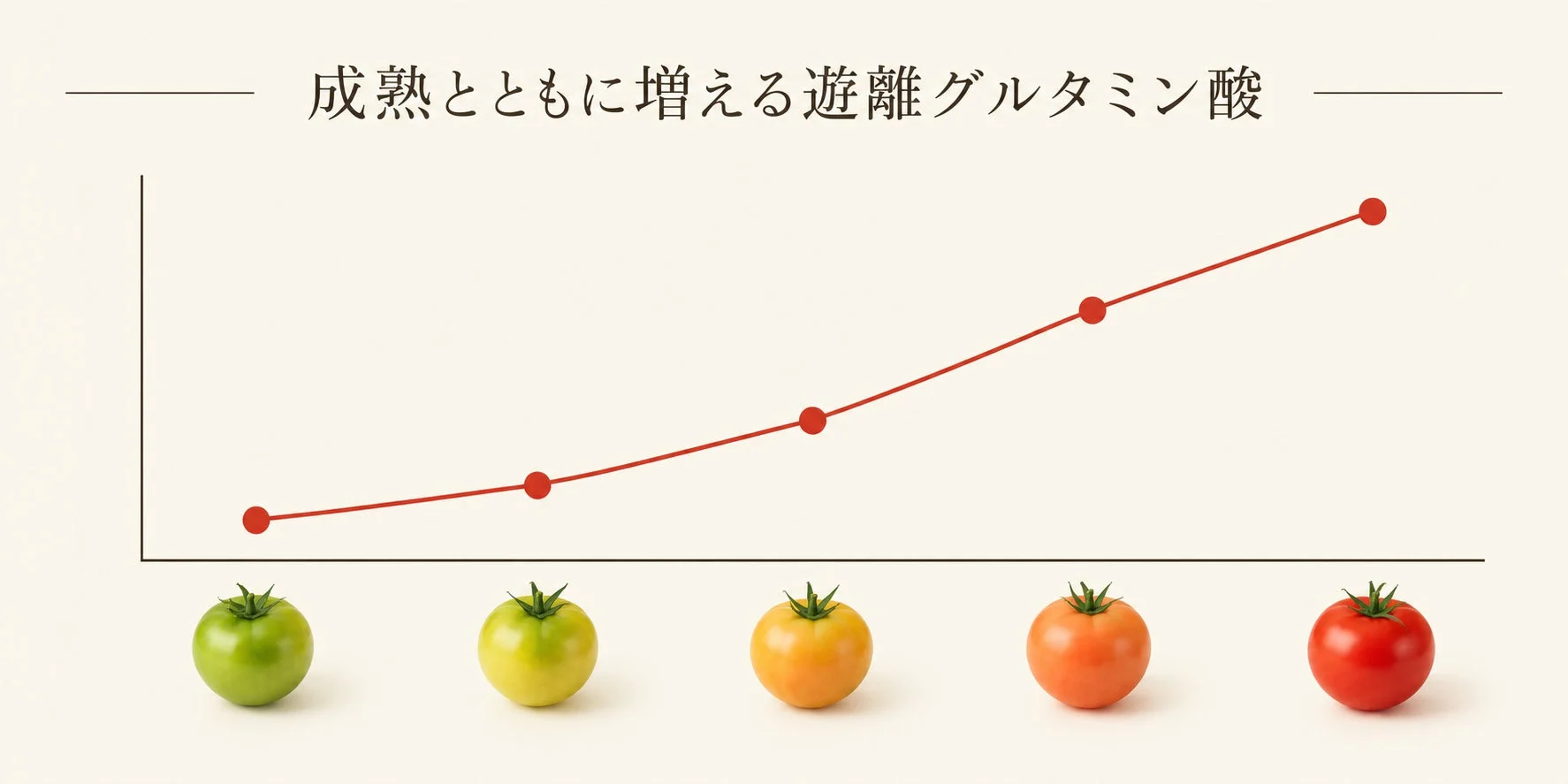 トマトの成熟とグルタミン酸のグラフ