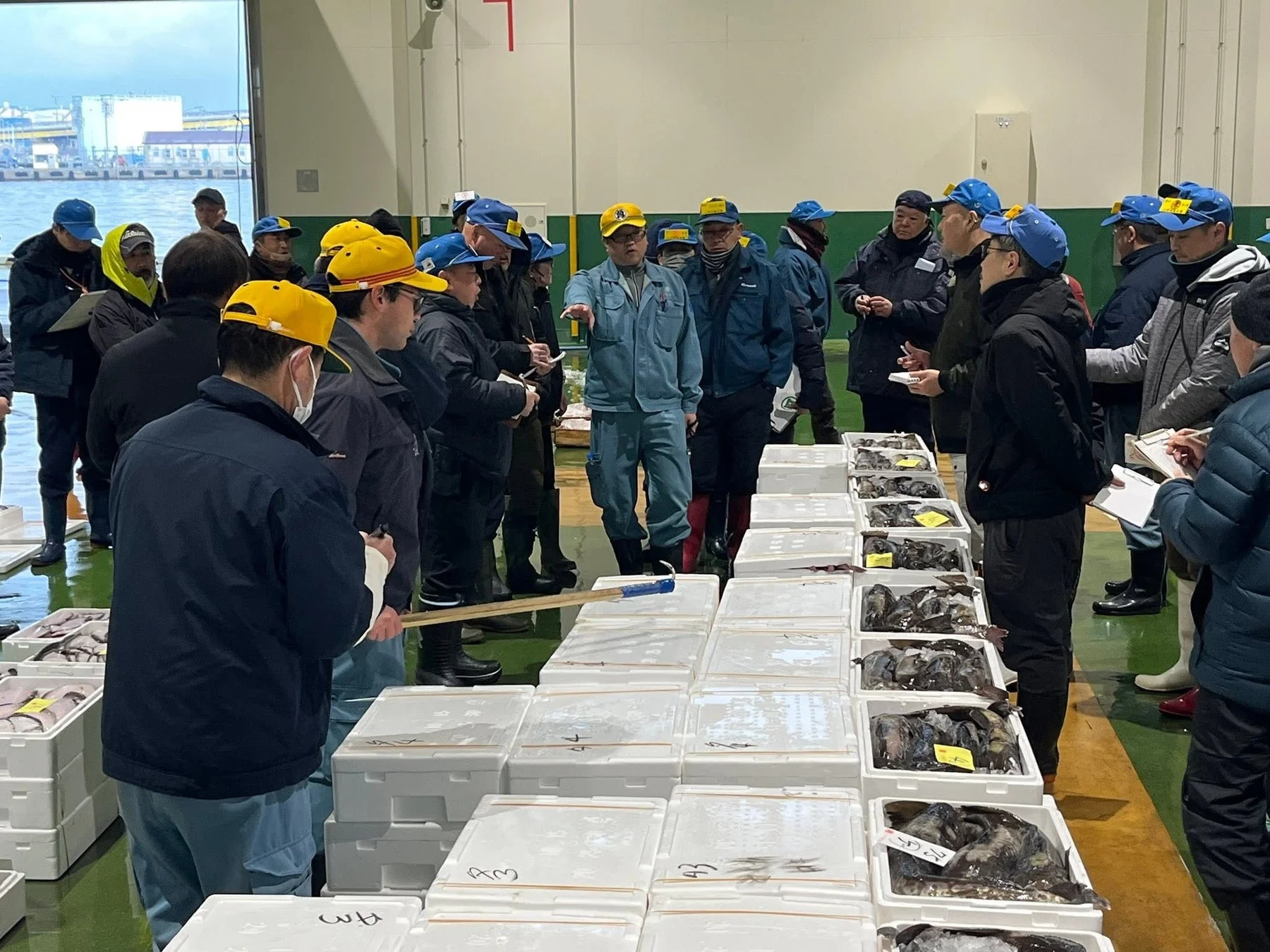 港に面した屋内の魚市場で、多くの男性たちが発泡スチロールの箱に入った水産物を囲み、競りや取引を行っている様子