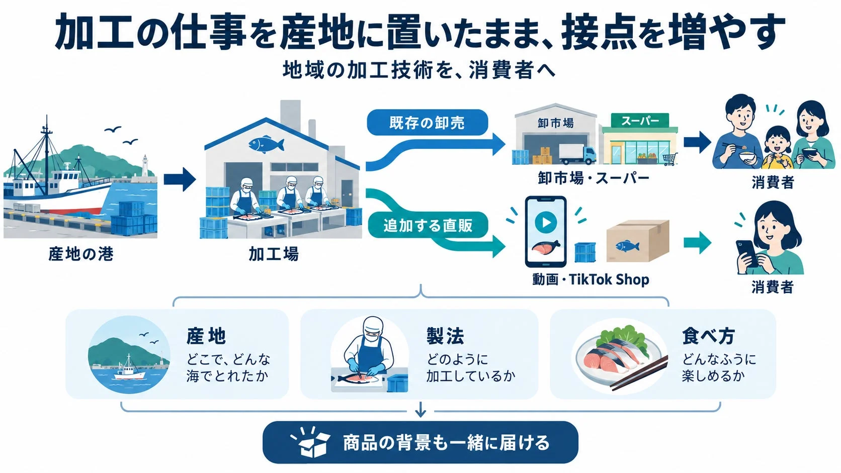 水産物の加工業者が産地で加工を行いながら、既存の卸売ルートに加え、動画・TikTok Shopを通じた直販を導入することで消費者との接点を増やすビジネスモデルを示しています。商品の背景情報も一緒に届けることで、消費者に価値を提供します。