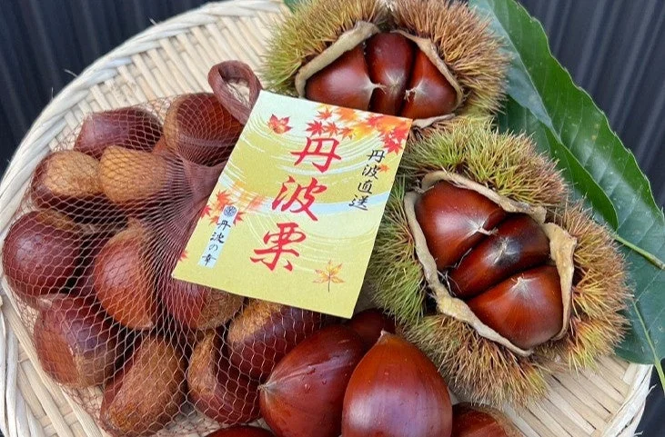 竹籠に盛られた丹波栗