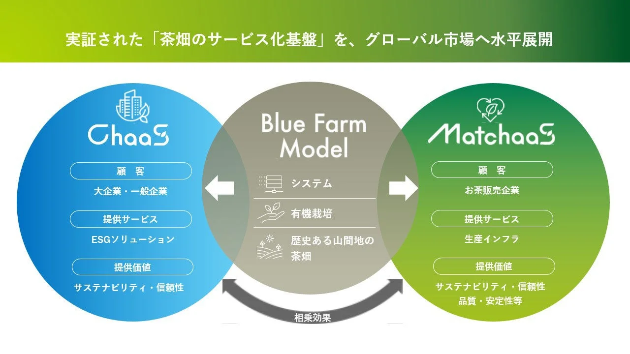 「茶畑のサービス化基盤」Blue Farm Modelを軸に、ChaaSとMatchaaSが連携し、ESGソリューションと生産インフラを提供。有機栽培やシステム活用で持続可能な茶畑経営をグローバル展開するビジネスモデル図。