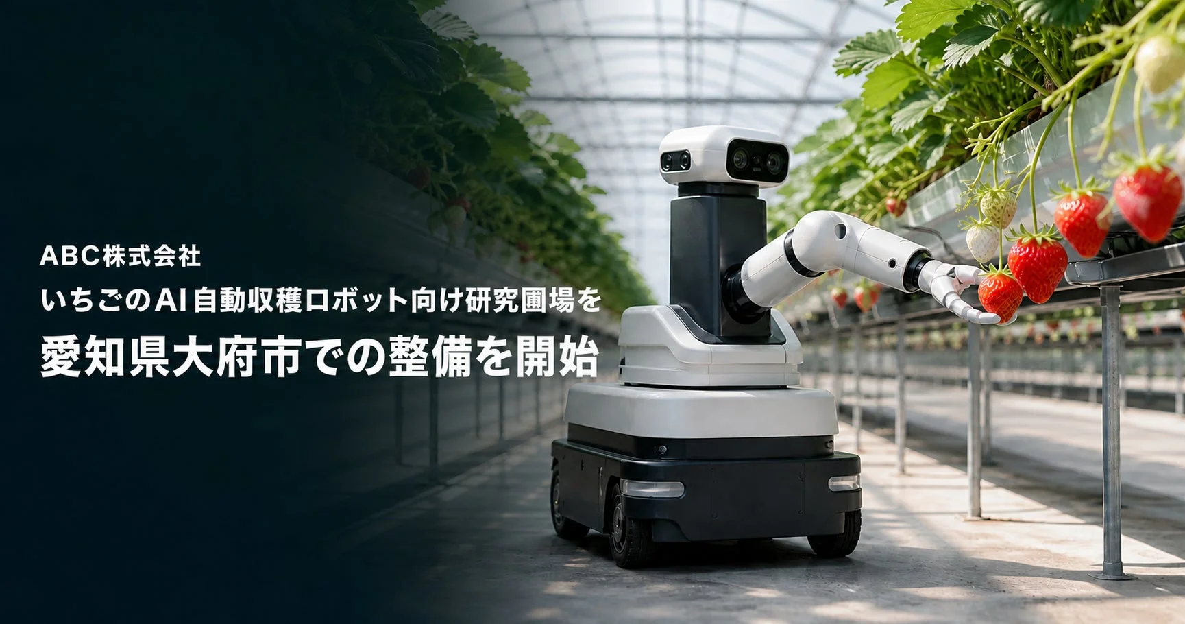 いちごのAI自動収穫ロボット向け研究圃場を 愛知県大府市での整備を開始