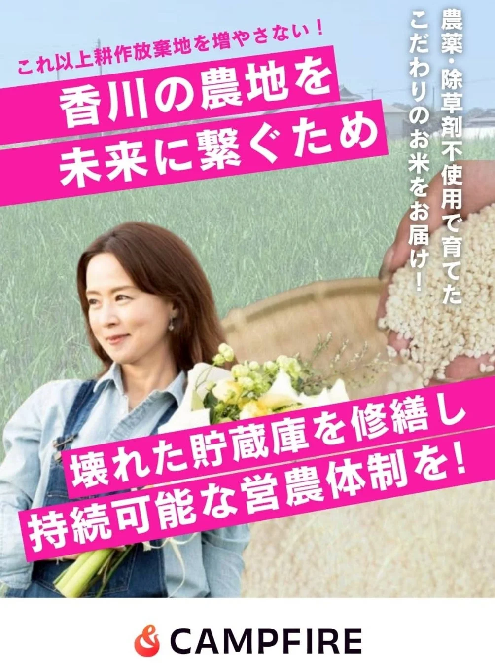 耕作放棄地、農薬・除草剤不使用の米、貯蔵庫修繕、女性