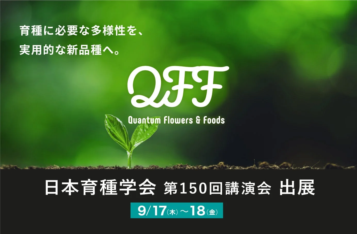 育種に必要な多様性を、実用的な新品種へ。QFF Quantum Flowers & Foods 日本育種学会 第150回講演会 出展 9/17(木)～18(金)