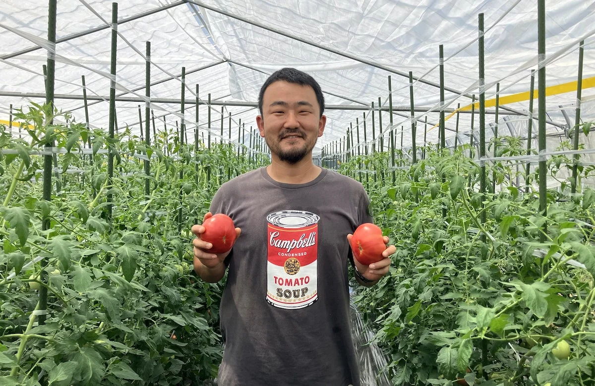 温室でトマトを持つ男性